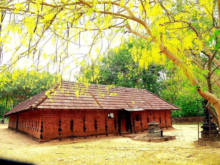 കണിക്കൊന്ന പൂത്തുനിൽക്കുന്ന ക്ഷേത്രമുറ്റം